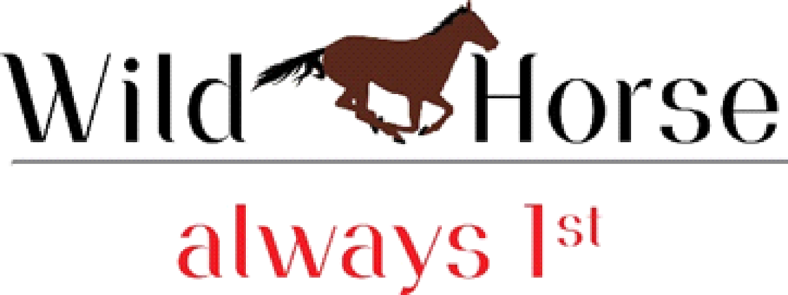 Blog WildHorse