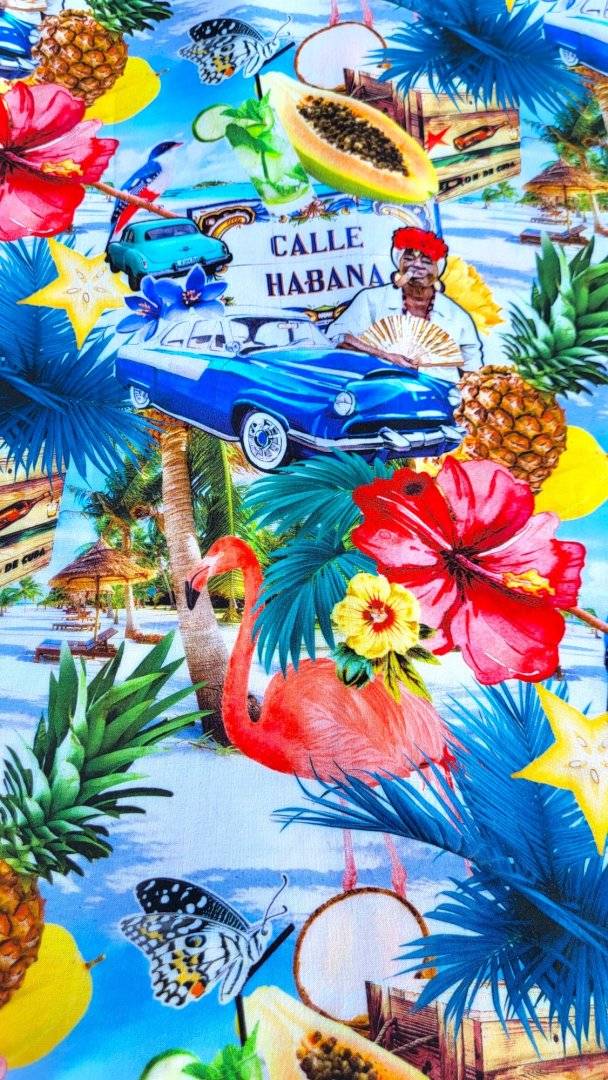 CAMASA FIRST LEVEL CALLE HABBANA CUBA BBC 100%